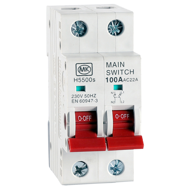100A DOUBLE POLE Switch Disconnector